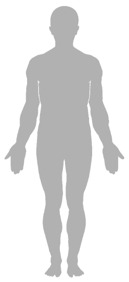 specialist-body
